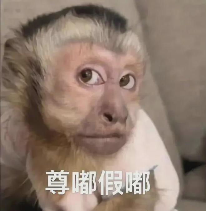 女装走光的他是真疯了还是向家缺钱了瓦力游戏向佐怎么癫成这样？穿深V