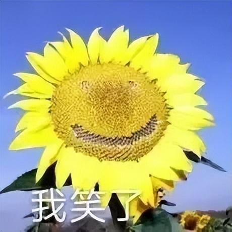 女装走光的他是真疯了还是向家缺钱了瓦力游戏向佐怎么癫成这样？穿深V(图7)